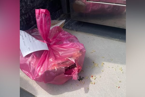 Makanan Dipesan Dimakan Burung Cetus Perdebatan di Media Sosial